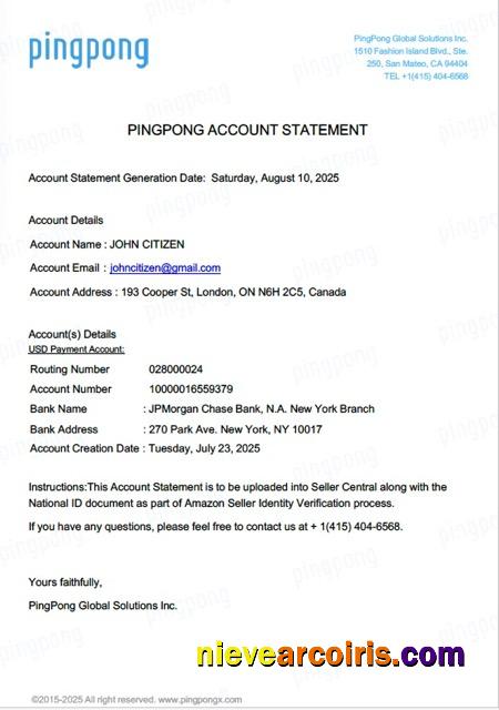 USA California PingPong Global Solutions Inc account statement Word and PDF